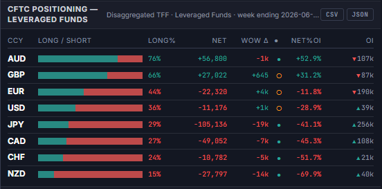 CFTC Positioning panel